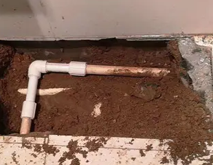 洮北测漏水哪家好