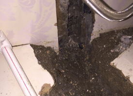 洮北卫生间测漏水哪家好