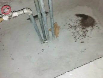 洮北卫生间测漏水价格明细